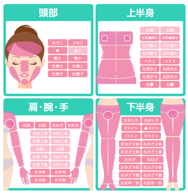 62部位の脱毛箇所